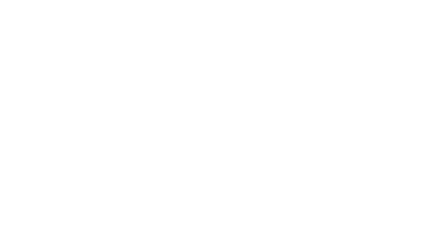 Luxury Escort